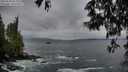 ./images/koeye/fitz-hugh/20250520/fitz-hugh20250520_055509M.jpg