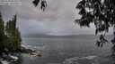 ./images/koeye/fitz-hugh/20250520/fitz-hugh20250520_061010M.jpg