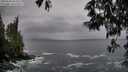 ./images/koeye/fitz-hugh/20250520/fitz-hugh20250520_062509M.jpg