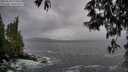 ./images/koeye/fitz-hugh/20250520/fitz-hugh20250520_070011M.jpg