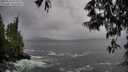 ./images/koeye/fitz-hugh/20250520/fitz-hugh20250520_070508M.jpg