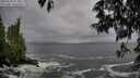 ./images/koeye/fitz-hugh/20250520/fitz-hugh20250520_073010M.jpg