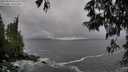 ./images/koeye/fitz-hugh/20250520/fitz-hugh20250520_075510M.jpg