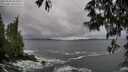 ./images/koeye/fitz-hugh/20250520/fitz-hugh20250520_080010M.jpg