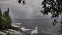 ./images/koeye/fitz-hugh/20250520/fitz-hugh20250520_090009M.jpg