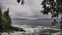 ./images/koeye/fitz-hugh/20250520/fitz-hugh20250520_105510M.jpg