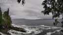 ./images/koeye/fitz-hugh/20250520/fitz-hugh20250520_110012M.jpg