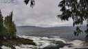 ./images/koeye/fitz-hugh/20250520/fitz-hugh20250520_113510M.jpg