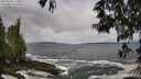 ./images/koeye/fitz-hugh/20250520/fitz-hugh20250520_114009M.jpg