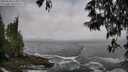 ./images/koeye/fitz-hugh/20250520/fitz-hugh20250520_115009M.jpg