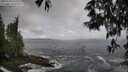 ./images/koeye/fitz-hugh/20250520/fitz-hugh20250520_115510M.jpg