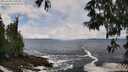 ./images/koeye/fitz-hugh/20250520/fitz-hugh20250520_120510M.jpg