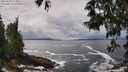 ./images/koeye/fitz-hugh/20250520/fitz-hugh20250520_123510M.jpg