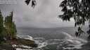 ./images/koeye/fitz-hugh/20250520/fitz-hugh20250520_125508M.jpg