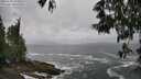 ./images/koeye/fitz-hugh/20250520/fitz-hugh20250520_133010M.jpg