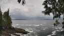 ./images/koeye/fitz-hugh/20250520/fitz-hugh20250520_134008M.jpg