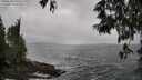 ./images/koeye/fitz-hugh/20250520/fitz-hugh20250520_140510M.jpg
