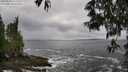 ./images/koeye/fitz-hugh/20250520/fitz-hugh20250520_141509M.jpg