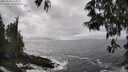 ./images/koeye/fitz-hugh/20250520/fitz-hugh20250520_144010M.jpg