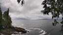 ./images/koeye/fitz-hugh/20250520/fitz-hugh20250520_144510M.jpg