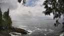 ./images/koeye/fitz-hugh/20250520/fitz-hugh20250520_145510M.jpg