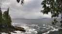 ./images/koeye/fitz-hugh/20250520/fitz-hugh20250520_150510M.jpg