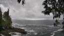./images/koeye/fitz-hugh/20250520/fitz-hugh20250520_152510M.jpg