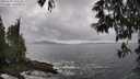 ./images/koeye/fitz-hugh/20250520/fitz-hugh20250520_155509M.jpg