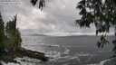 ./images/koeye/fitz-hugh/20250520/fitz-hugh20250520_160509M.jpg
