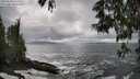 ./images/koeye/fitz-hugh/20250520/fitz-hugh20250520_161010M.jpg