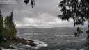 ./images/koeye/fitz-hugh/20250520/fitz-hugh20250520_162510M.jpg