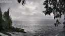 ./images/koeye/fitz-hugh/20250520/fitz-hugh20250520_163011M.jpg