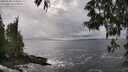 ./images/koeye/fitz-hugh/20250520/fitz-hugh20250520_164008M.jpg