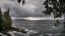 ./images/koeye/fitz-hugh/20250520/fitz-hugh20250520_165510M.jpg