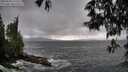 ./images/koeye/fitz-hugh/20250520/fitz-hugh20250520_171510M.jpg