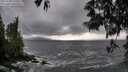 ./images/koeye/fitz-hugh/20250520/fitz-hugh20250520_172510M.jpg