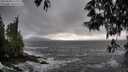 ./images/koeye/fitz-hugh/20250520/fitz-hugh20250520_173510M.jpg