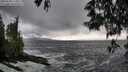 ./images/koeye/fitz-hugh/20250520/fitz-hugh20250520_174010M.jpg