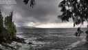 ./images/koeye/fitz-hugh/20250520/fitz-hugh20250520_175009M.jpg