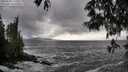 ./images/koeye/fitz-hugh/20250520/fitz-hugh20250520_175510M.jpg