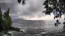./images/koeye/fitz-hugh/20250520/fitz-hugh20250520_182509M.jpg