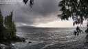 ./images/koeye/fitz-hugh/20250520/fitz-hugh20250520_183509M.jpg