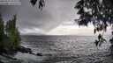 ./images/koeye/fitz-hugh/20250520/fitz-hugh20250520_184510M.jpg
