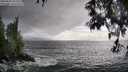 ./images/koeye/fitz-hugh/20250520/fitz-hugh20250520_185010M.jpg