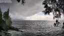 ./images/koeye/fitz-hugh/20250520/fitz-hugh20250520_185510M.jpg