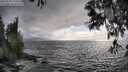 ./images/koeye/fitz-hugh/20250520/fitz-hugh20250520_190009M.jpg