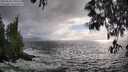 ./images/koeye/fitz-hugh/20250520/fitz-hugh20250520_190507M.jpg
