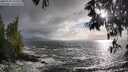 ./images/koeye/fitz-hugh/20250520/fitz-hugh20250520_191009M.jpg