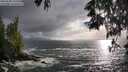 ./images/koeye/fitz-hugh/20250520/fitz-hugh20250520_191507M.jpg