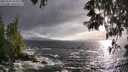 ./images/koeye/fitz-hugh/20250520/fitz-hugh20250520_192009M.jpg